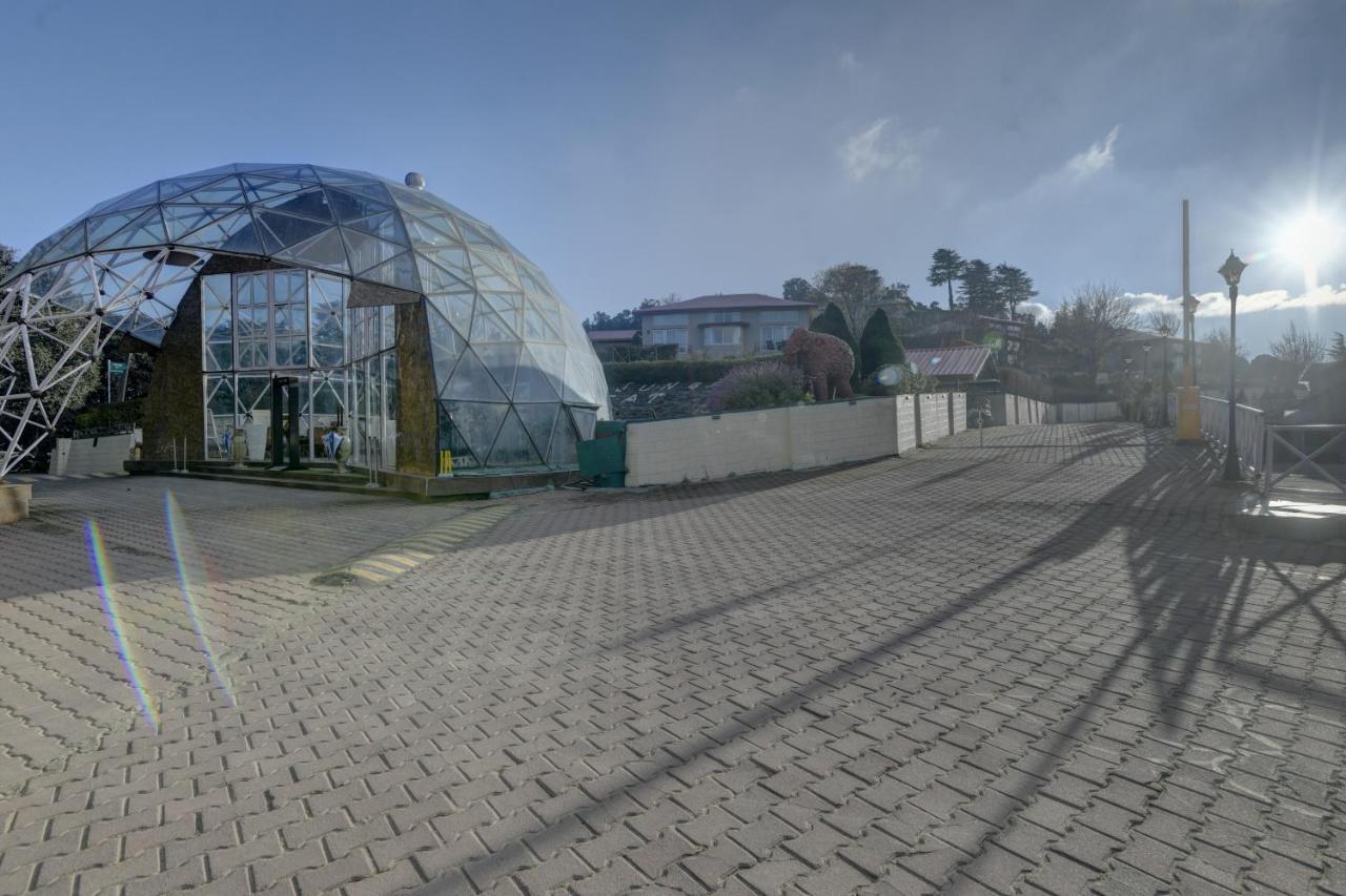 Tarika Resort & Spa , Chail Buitenkant foto