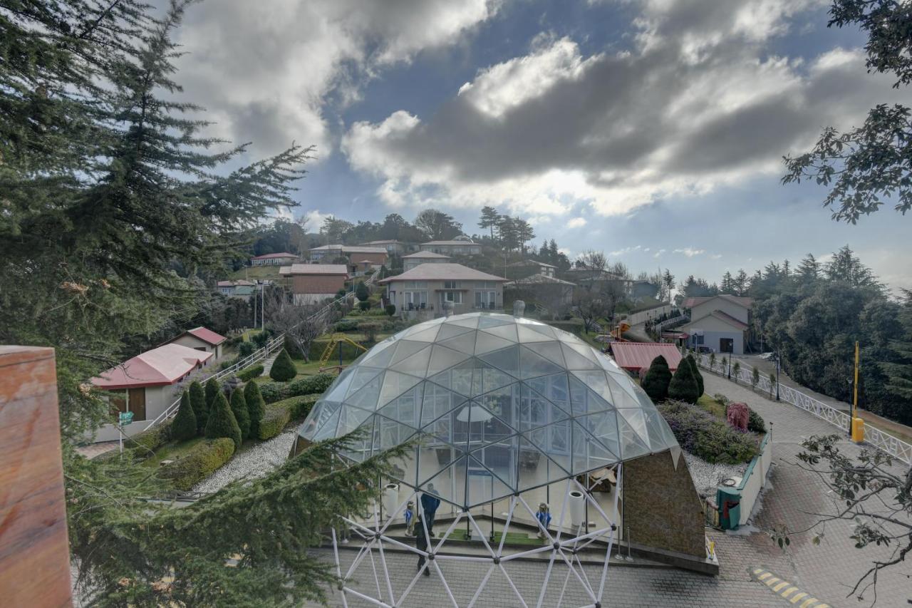 Tarika Resort & Spa , Chail Buitenkant foto