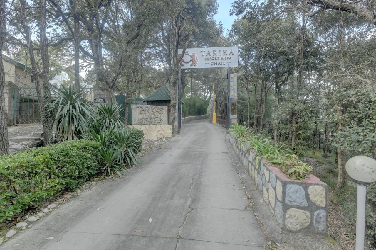 Tarika Resort & Spa , Chail Buitenkant foto
